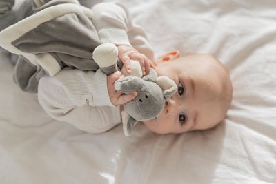Teddykompaniet Diinglisar  Elefant Koseklut, Grå