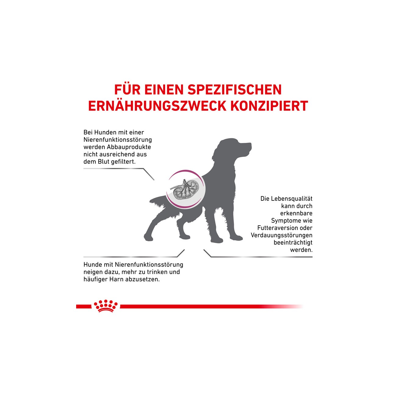 ROYAL CANIN ® Veterinary RENAL SPECIAL 2 kg