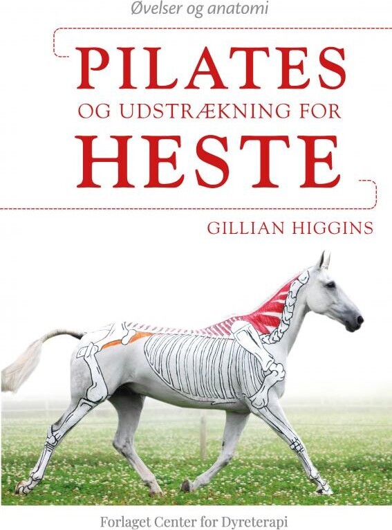 Pilates Og Udstrækning For Heste - Gillian Higgins - Bog