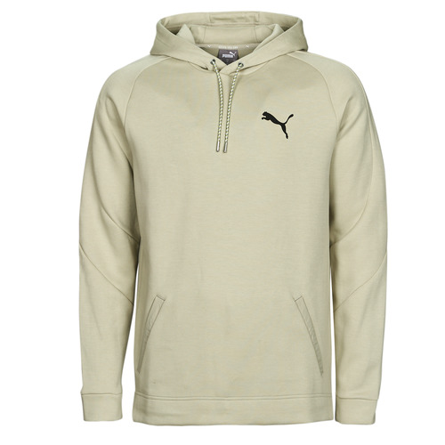 Puma - DAY IN MOTION HOODIE DK - Gris