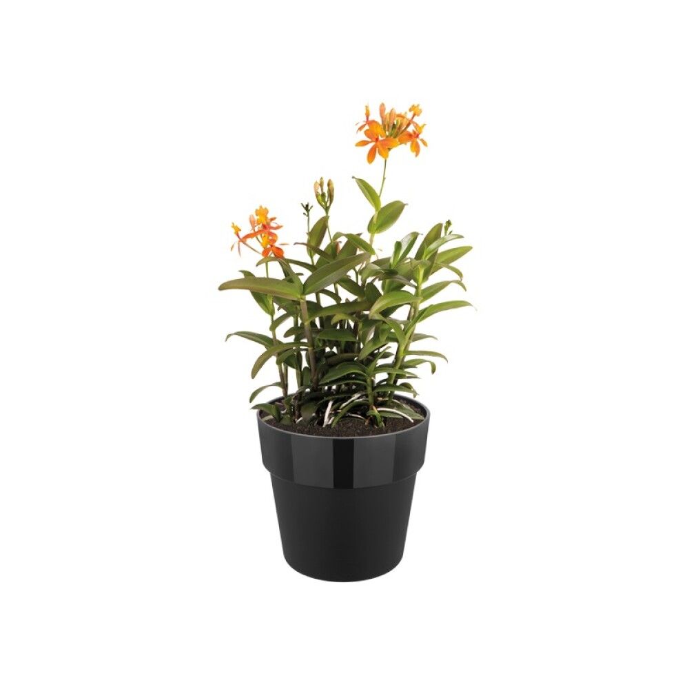 PLASTPOTTE ELHO B.FOR ORIGINAL Ø14CM SVART