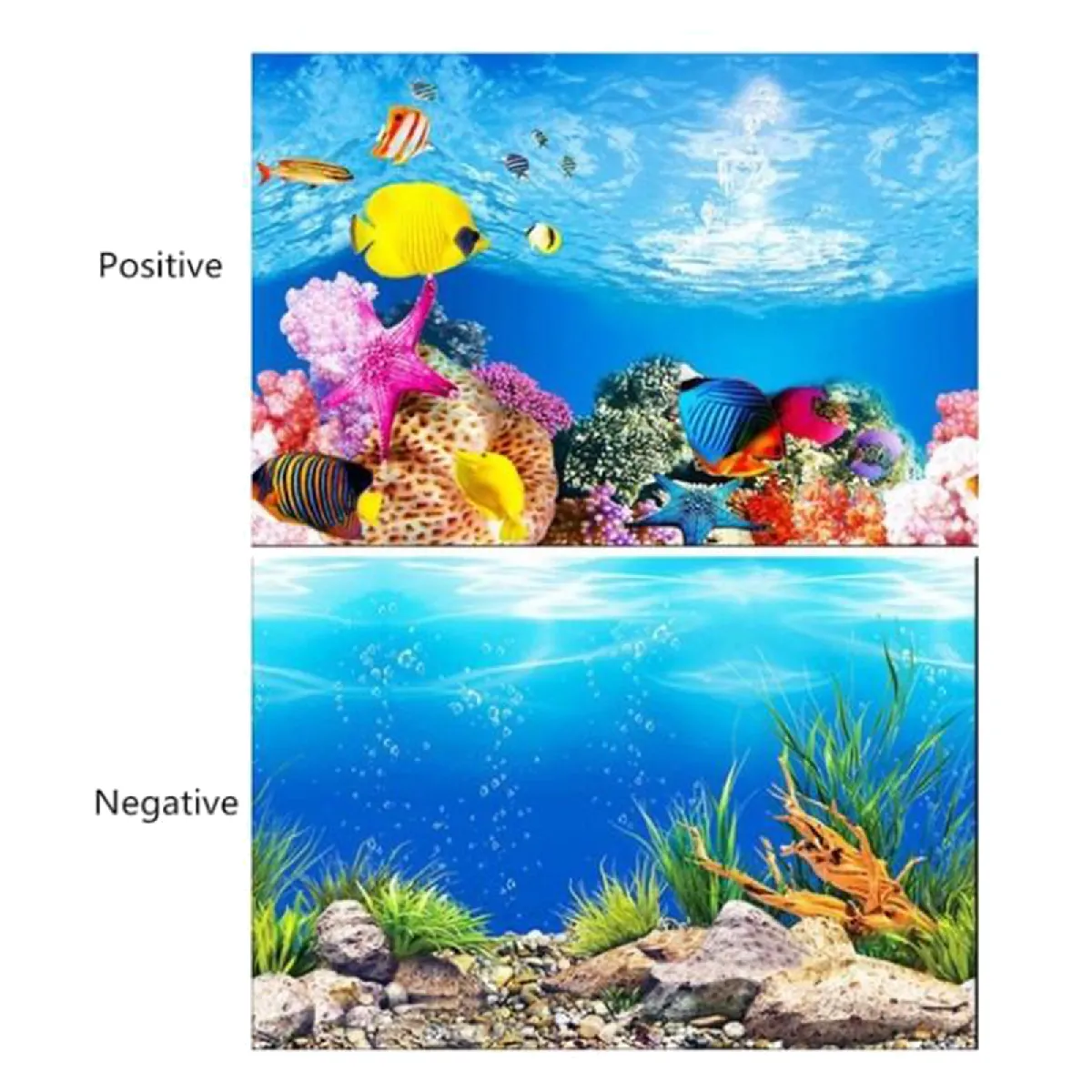 Affiche de fond d'aquarium 30x52cm