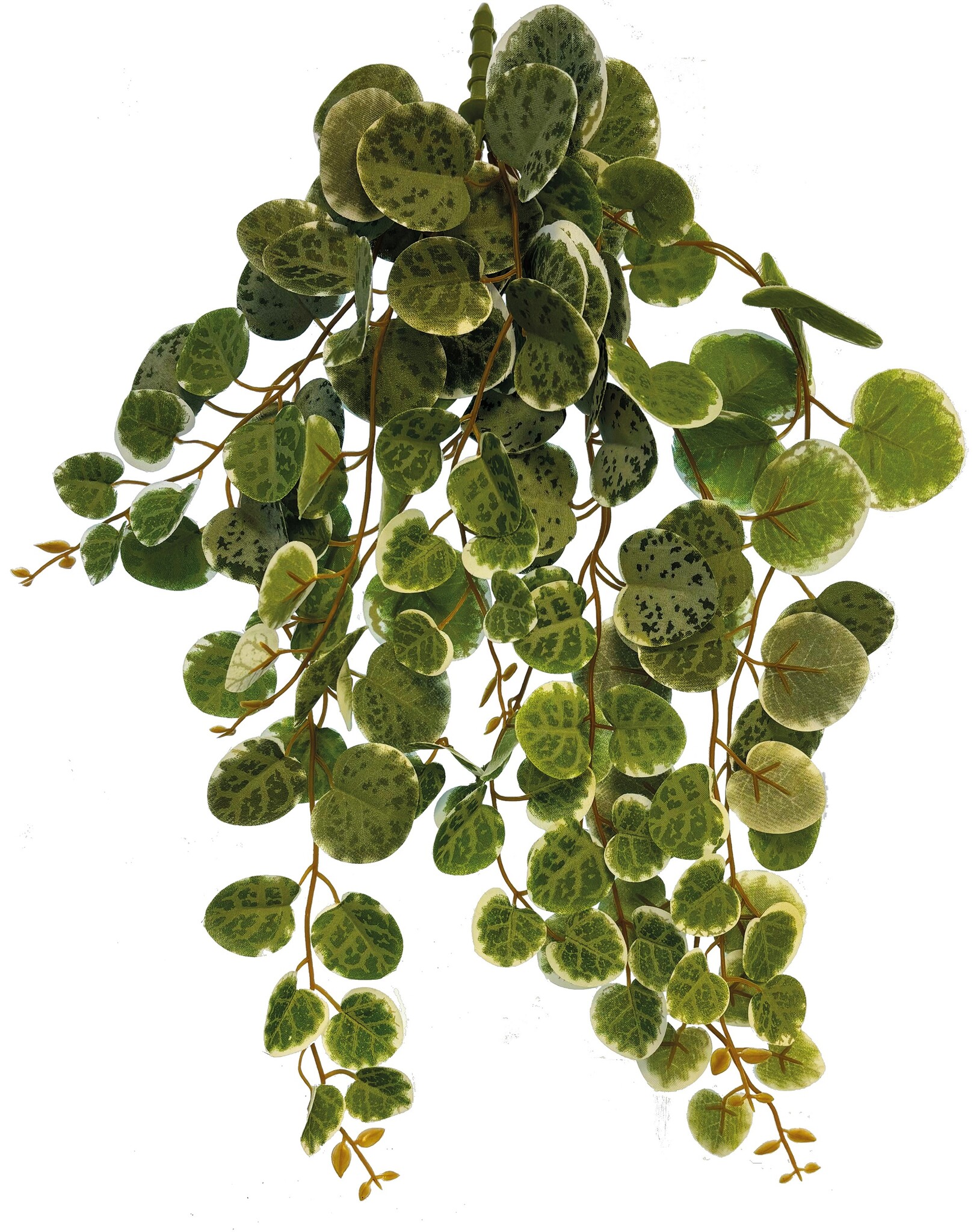 Repto Terrarium Kunstplant Hangend Rond Blad 46cm