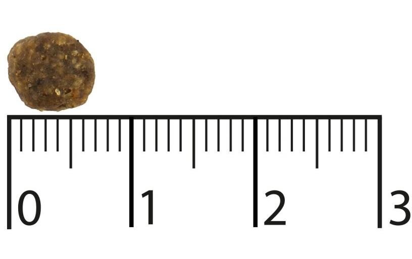Trockenfutter Purely Adult Small Lachs & Rind, 2.5 kgGetreidefreies Alleinfutter für Hunde