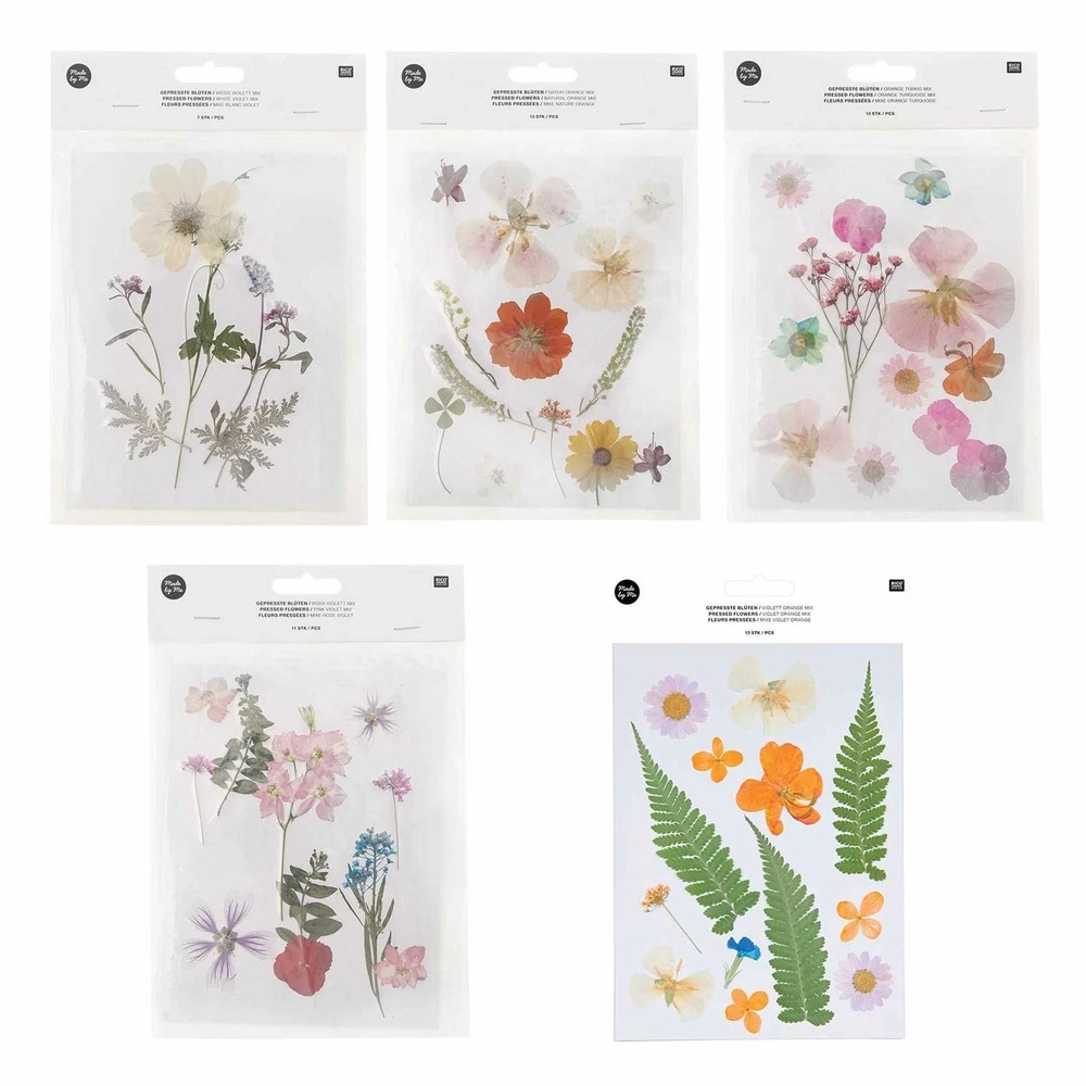 5 sets de fleurs séchées et pressées multicolores