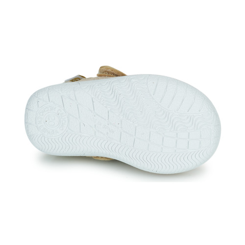 Citrouille et Compagnie - OSAPA - Beige