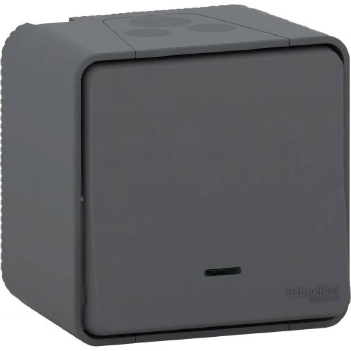 SCHNEIDER ELECTRIC Mureva Bouton Poussoir Gris