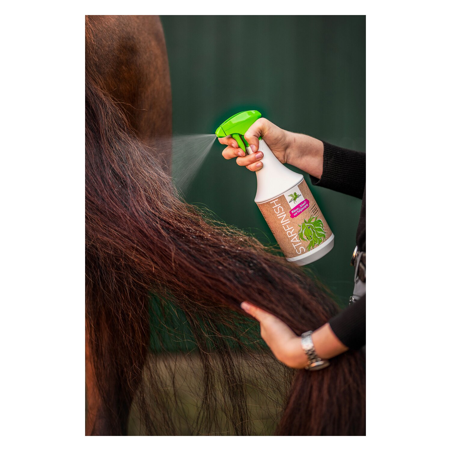 BENSE & EICKE Starfinish  - 1 Liter
