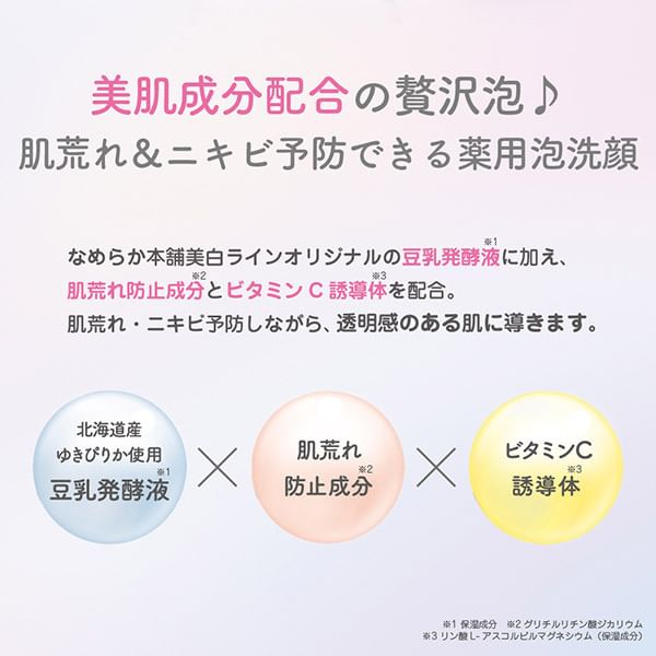 SANA - Sojamelk Whitening Foam Face Wash