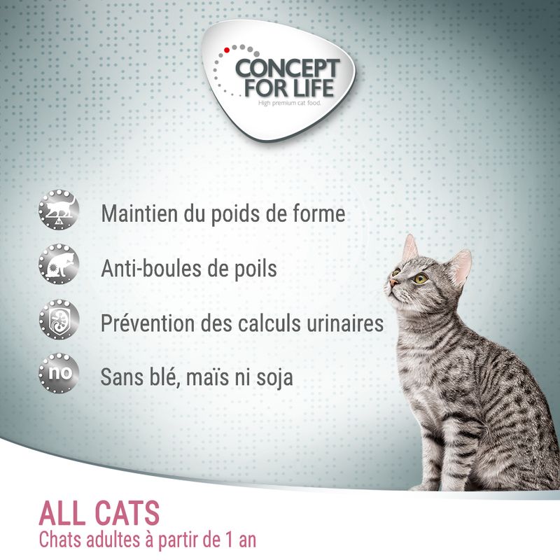 Concept for Life All Cats
