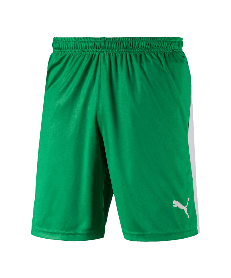 PUMA LIGA Short Grün Weiss F35