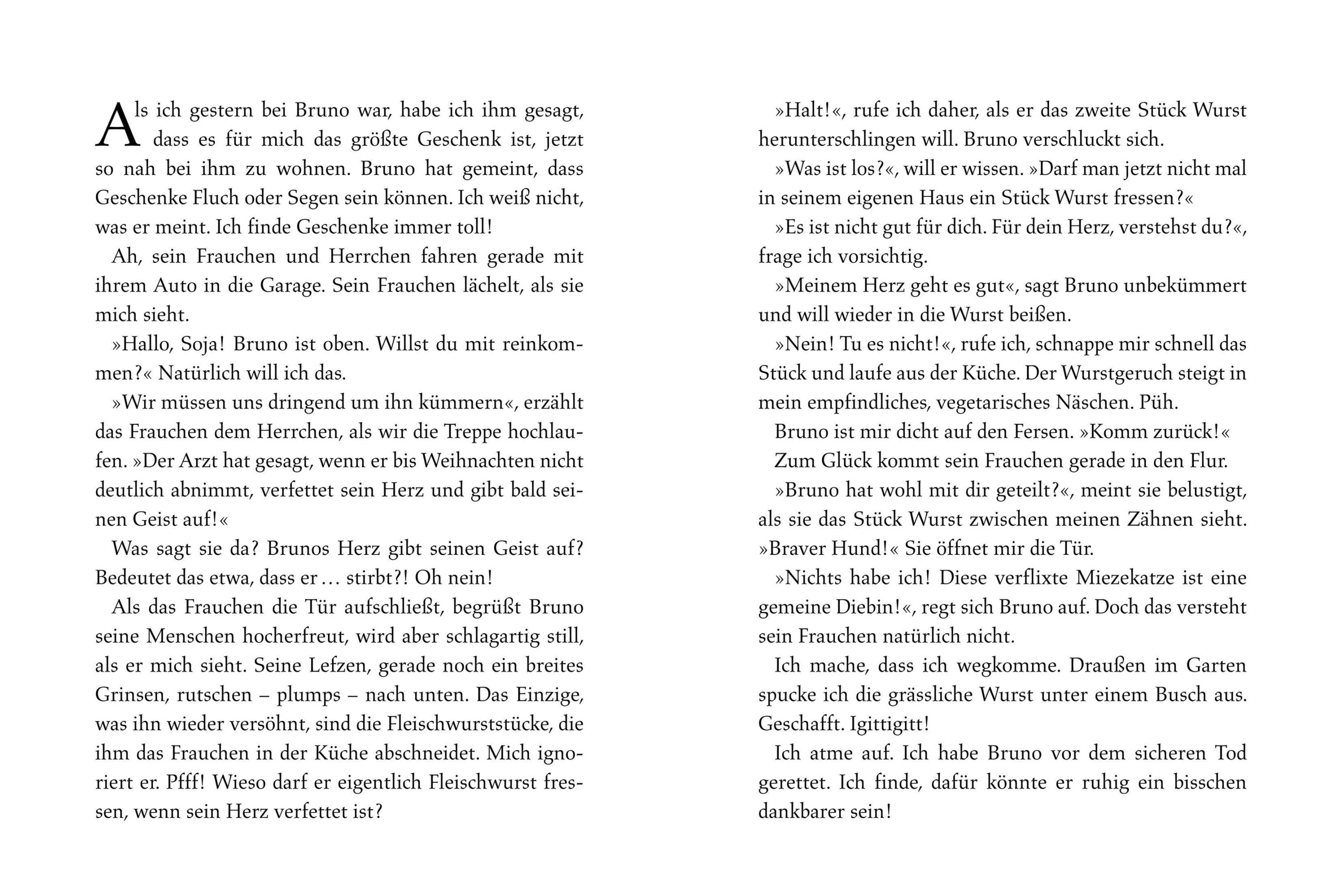 Schnauze, die Nikoläuse sind los / Schnauze Bd.4