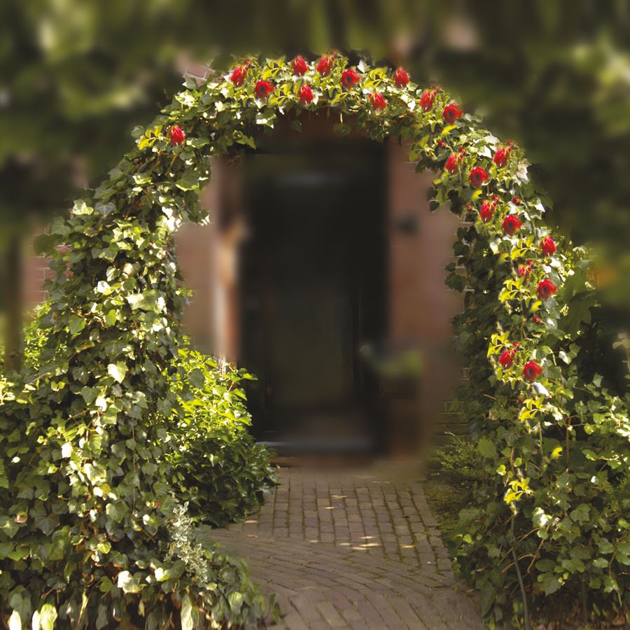 Rosen-Gartenbogen 140x240cm