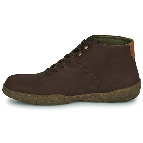 El Naturalista - TURTLE - Marron