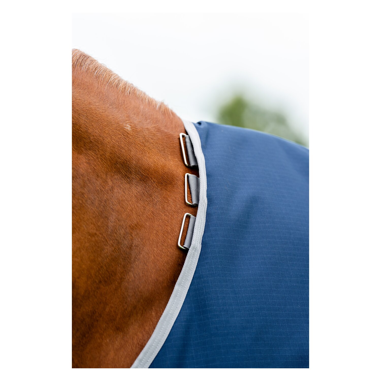 HORSEWARE Weidedecke AMIGO Ripstop 900 Denier, 200 g - navy/titanium grey