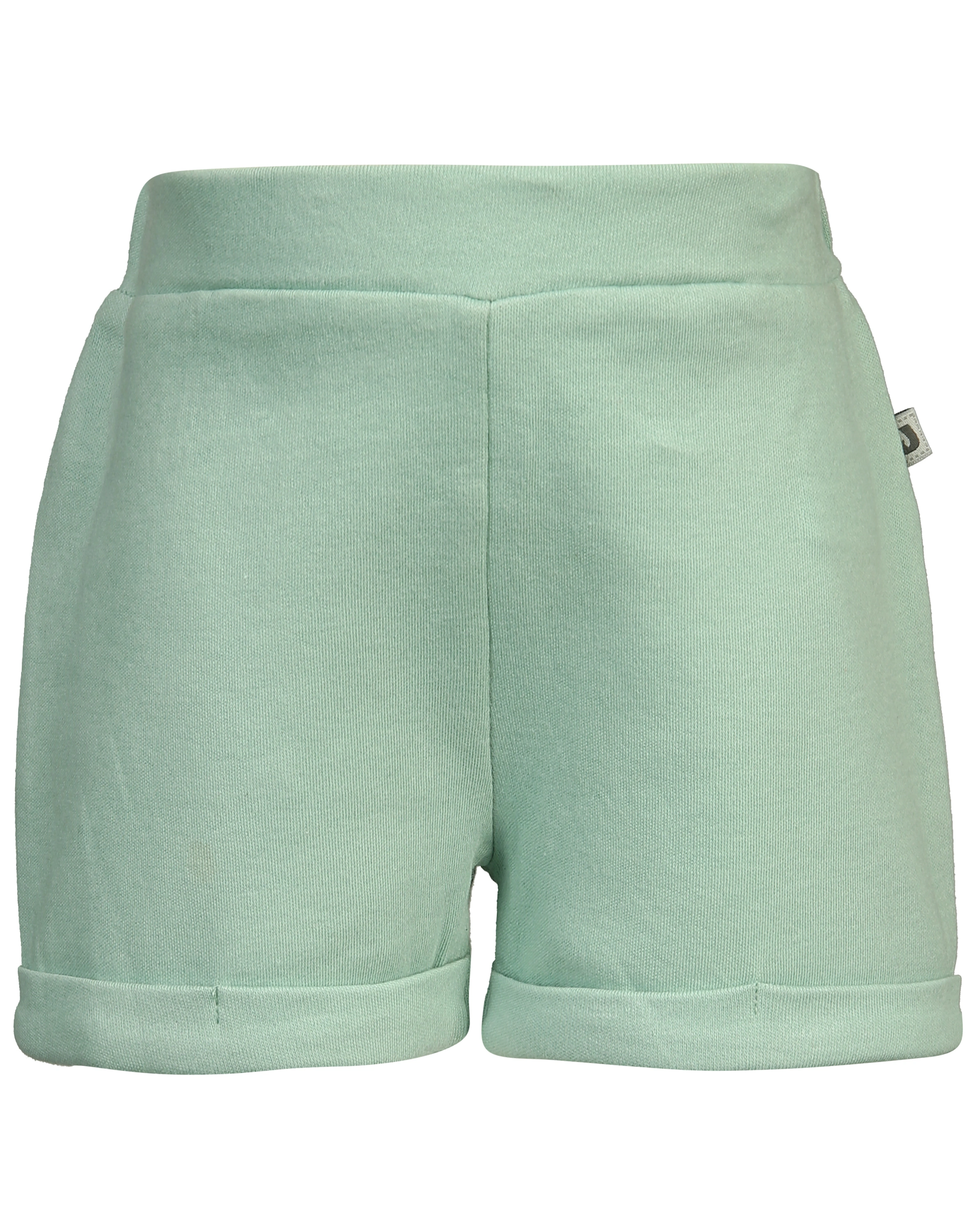 Shorts ANIMAL FRIENDS in grün