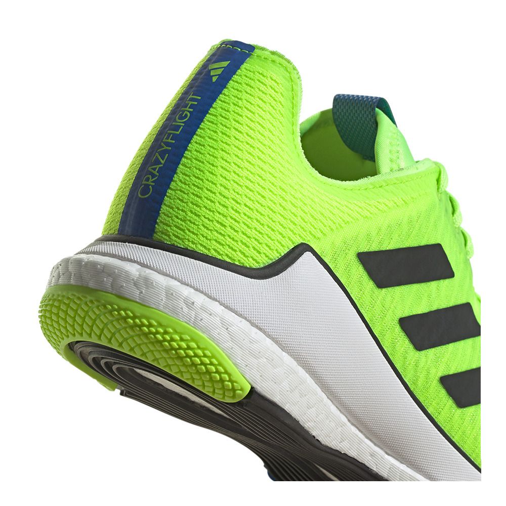 Adidas Performance CRAZYFLIGHT - Chaussures volleyball Homme luclem/cblack/broyal
