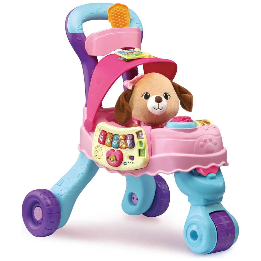 VTech Push Along Haustiertransportbox