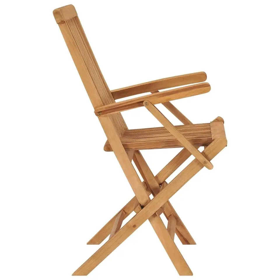 vidaXL - Tuinstoelen - Inklapbaar - Massief teakhout - 2 stuks