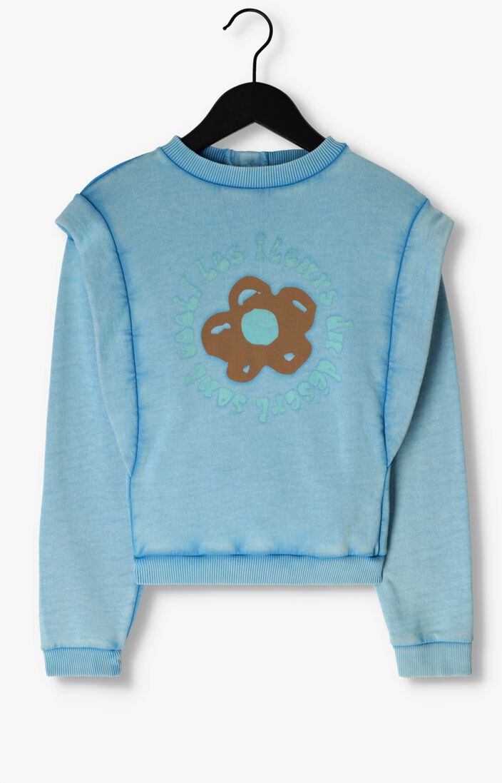 AMMEHOELA lichtblauwe ammehoela sweater am.avalyn.03