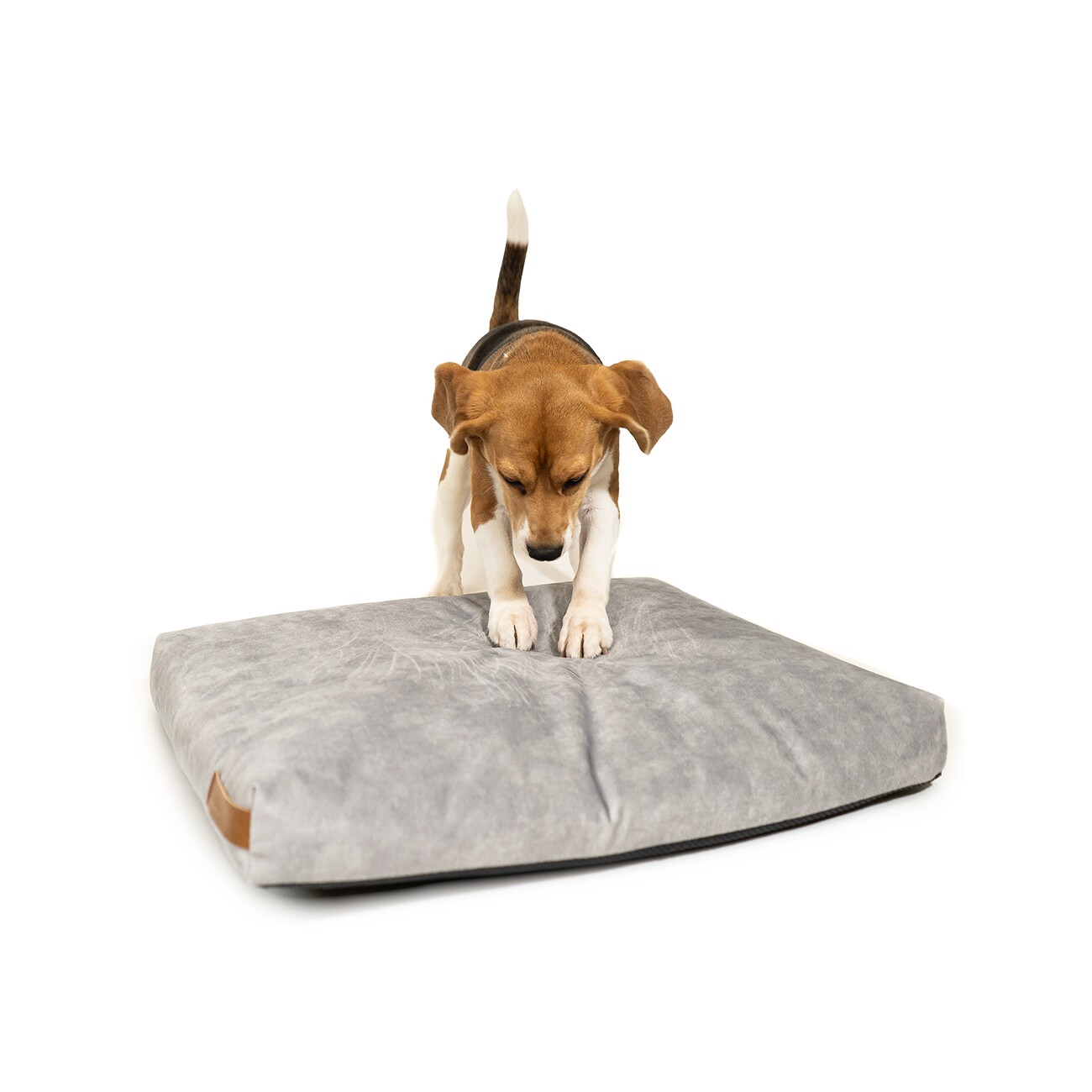 Rexproduct SoftPet Matratze grau S
