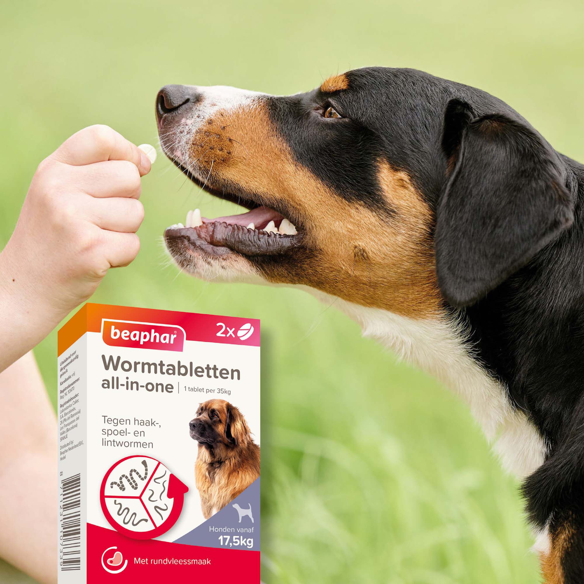 Beaphar All-in-one Tabletten - Ontwormen Hond - 2 Stuks - L