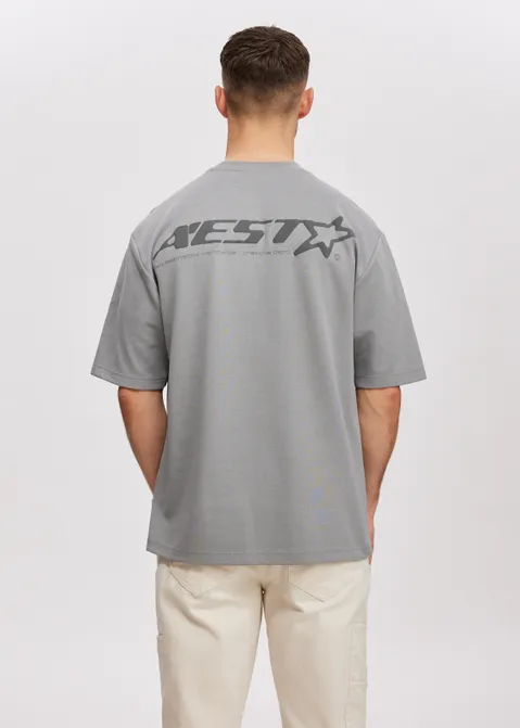 T-shirt met print star grijs (GRS.M)