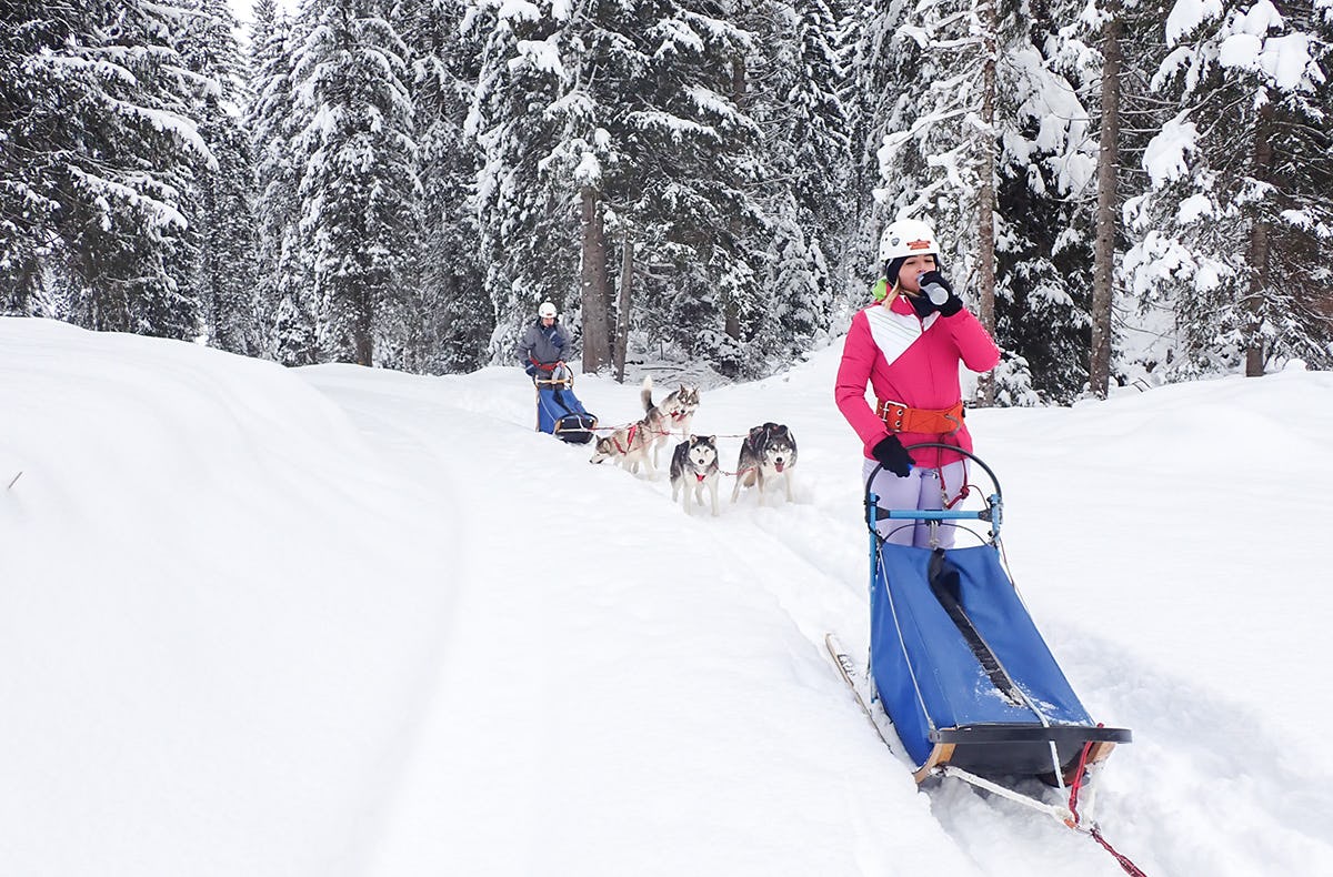 Exklusiv Husky Schlittenfahrt für Zwei im Kanton St. Gallen als romantische Geschenkidee!
