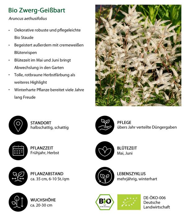 Bio Stauden-Set Blühendes Frühjahr im