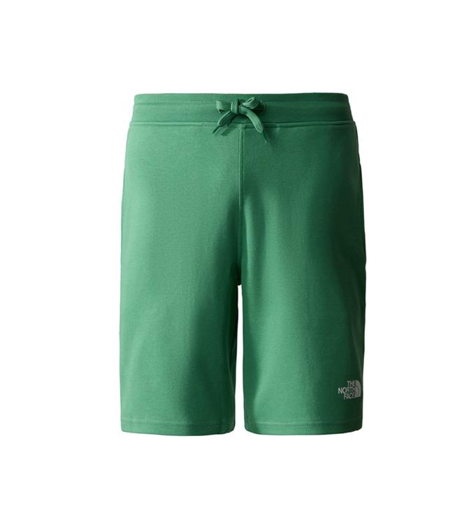 The North Face Men Graphic Light Short