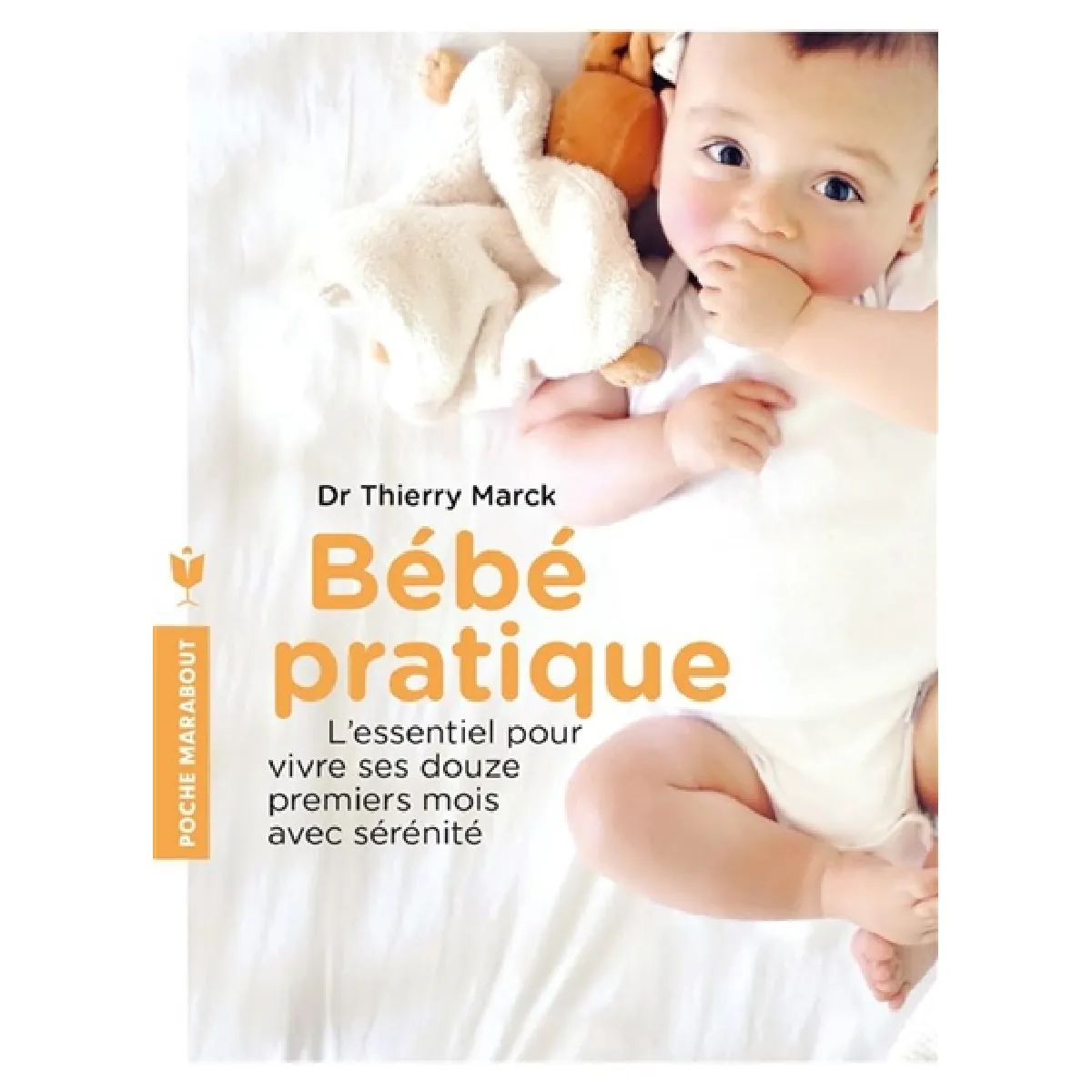Bébé pratique : l'essentiel pour vivre ses 12 premiers mois avec sérénité · Occasion