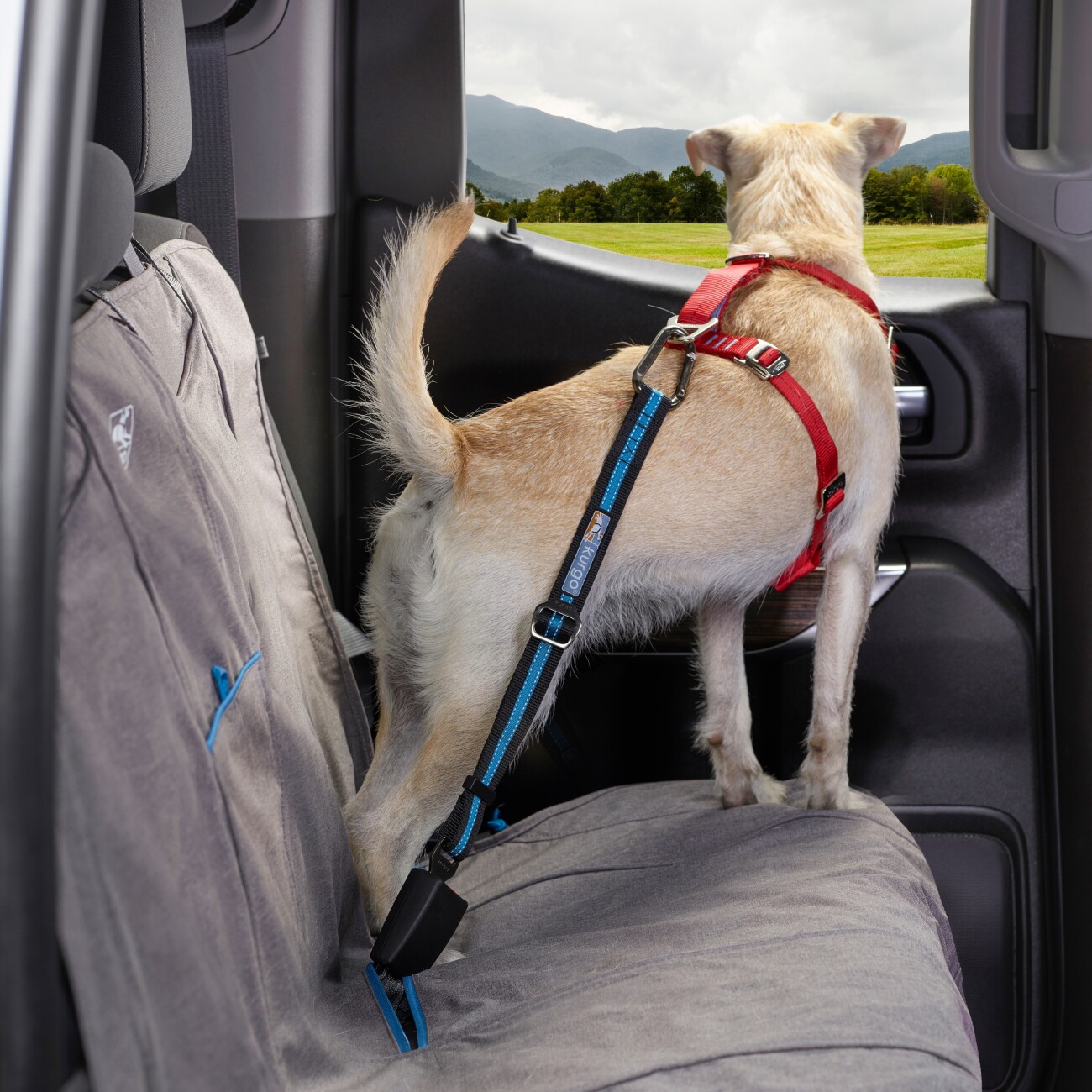 Kurgo Direkt zum Sicherheitsgurt für Hunde
