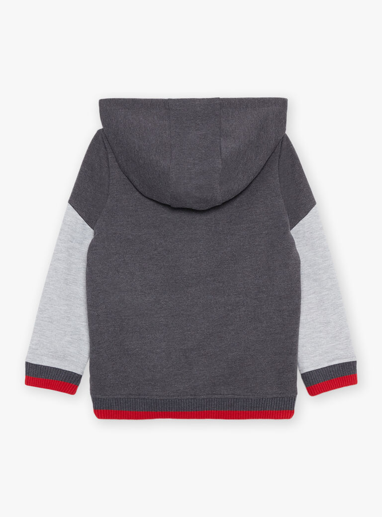 Sweat à capuche gris anthracite à broderie M