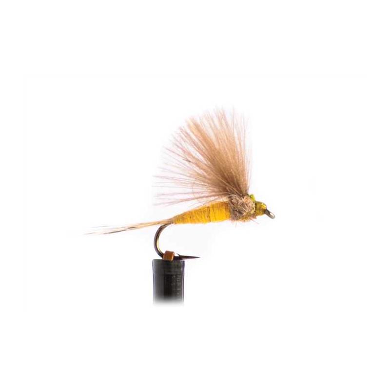 Mouche Tof Émergente Spent V - Sulfure Orange