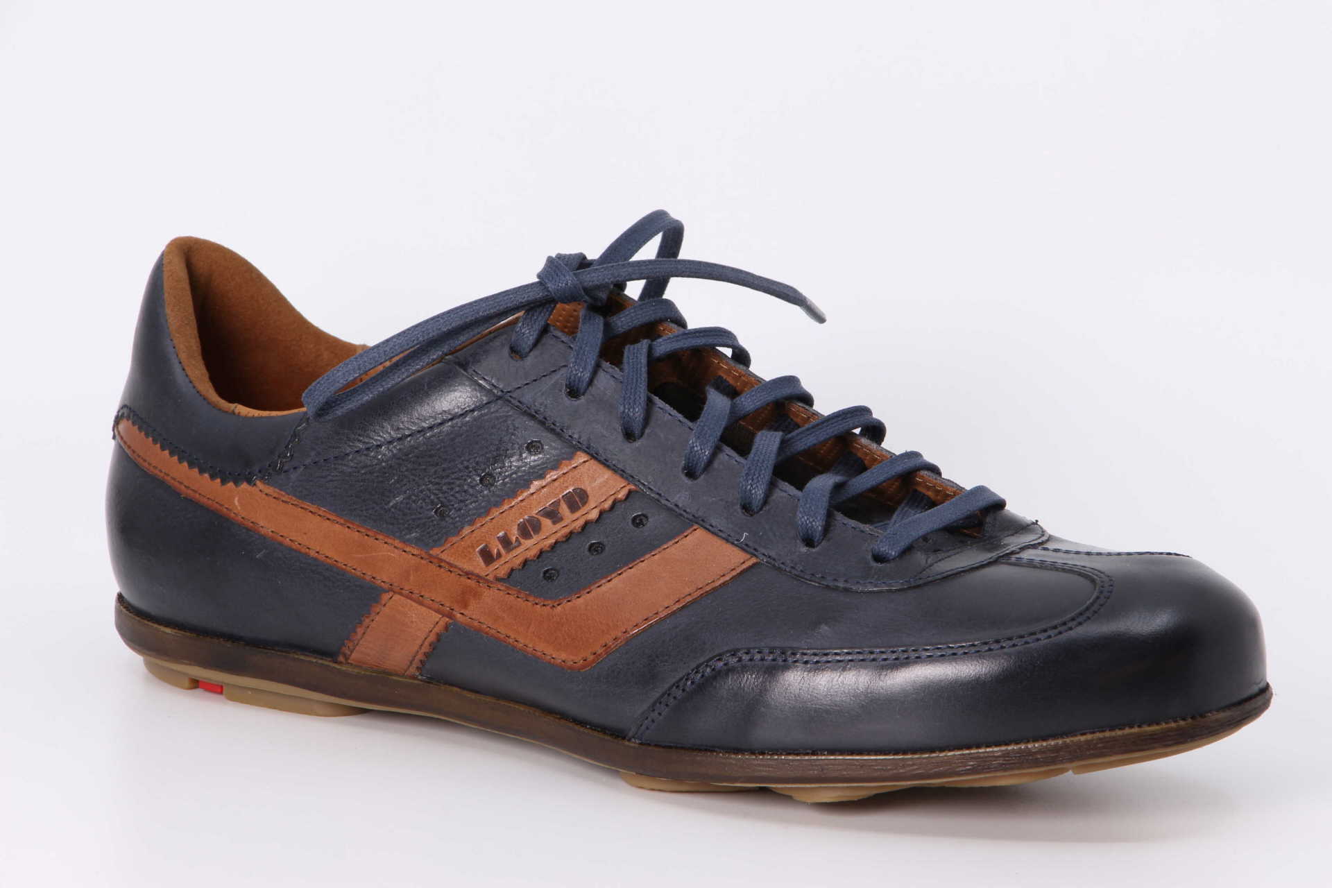 Lloyd Vault navy / kenia