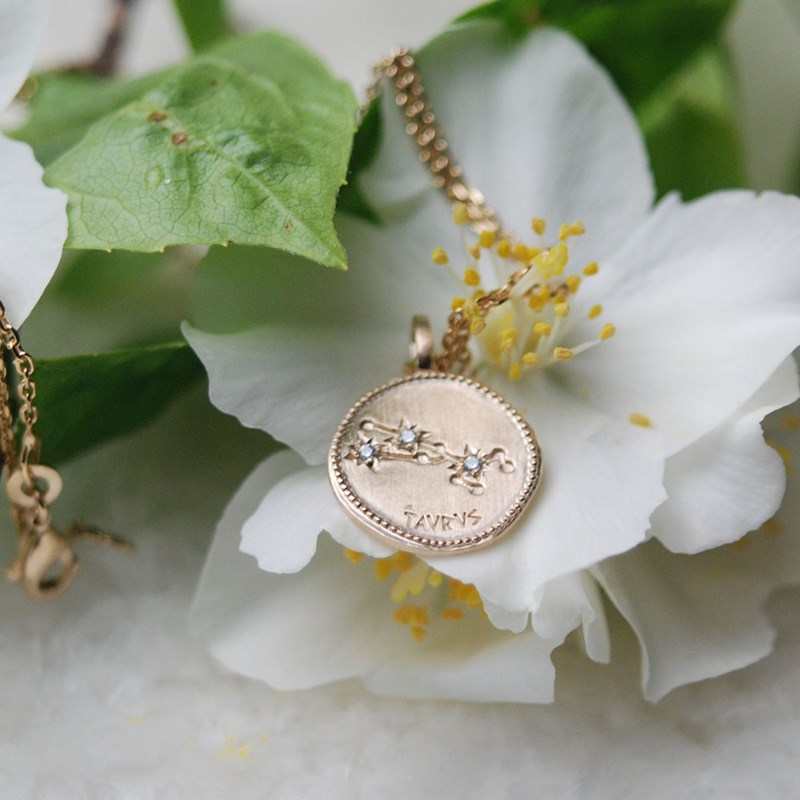 Pendentif signe du zodiaque TAUREAU - Bijoux Privés Discovery