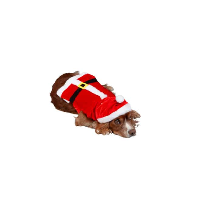 Hunde - Weihnachtskostüm - ca. 34 x 16 cm