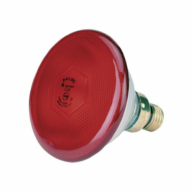 Lampe chauffante Philips à infrarouge pour animaux