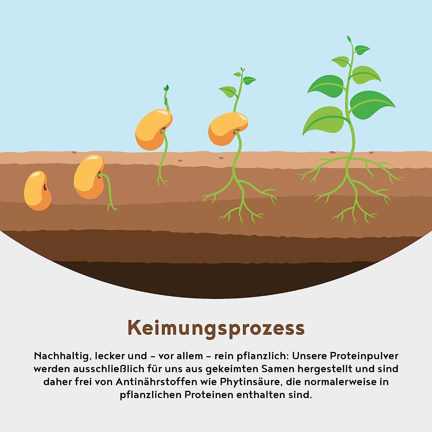 Vegan Protein - KOKOS - Pflanzliches Proteinpulver