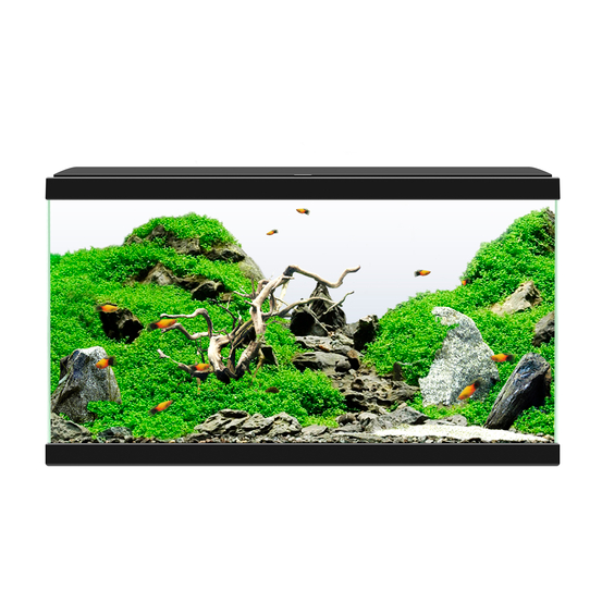 Aquarium en verre CF, noir : L.60xP.30xH.32 cm - 58 litres