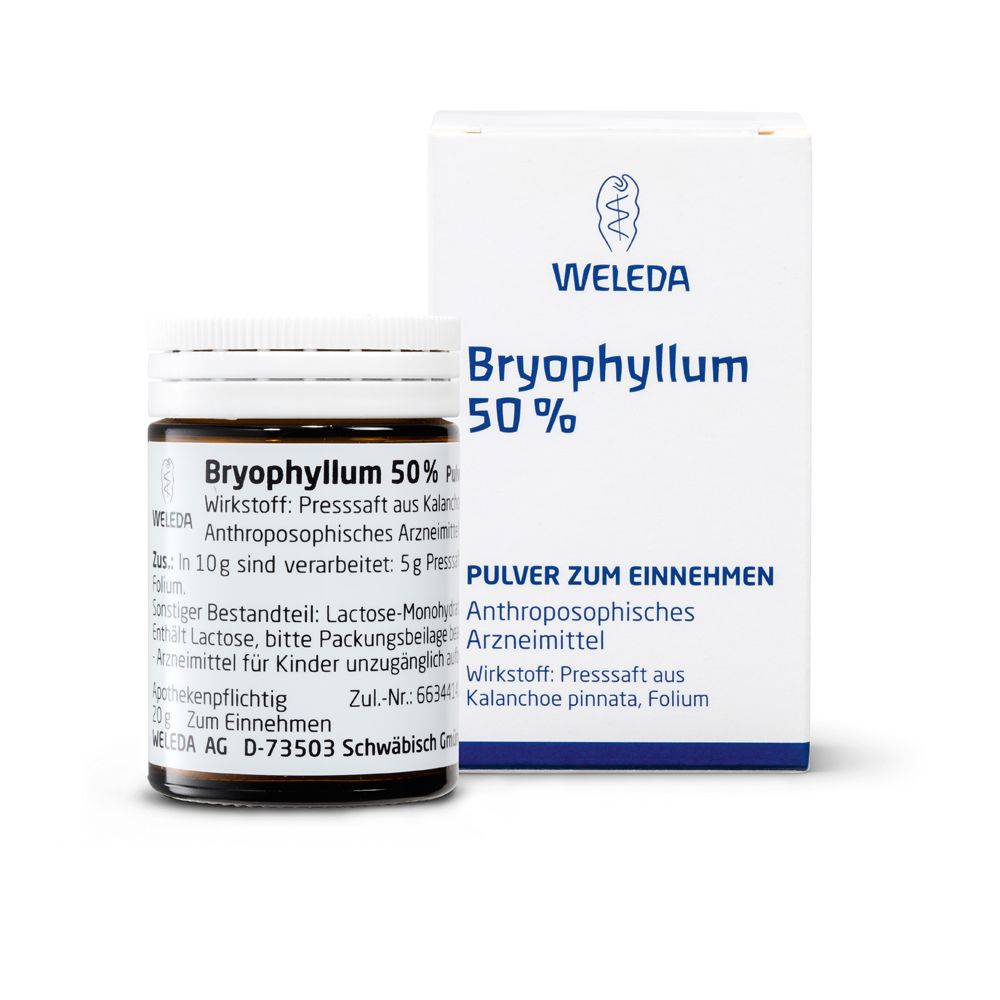 Bryophyllum 50% Trituration