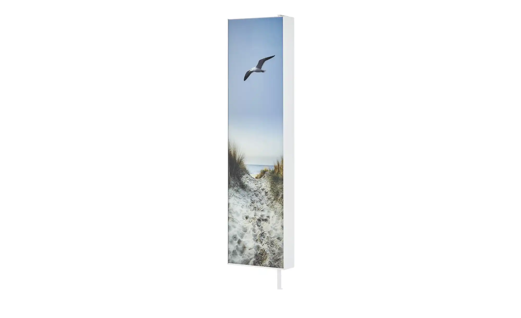 Mehrzweckschrank Pictura