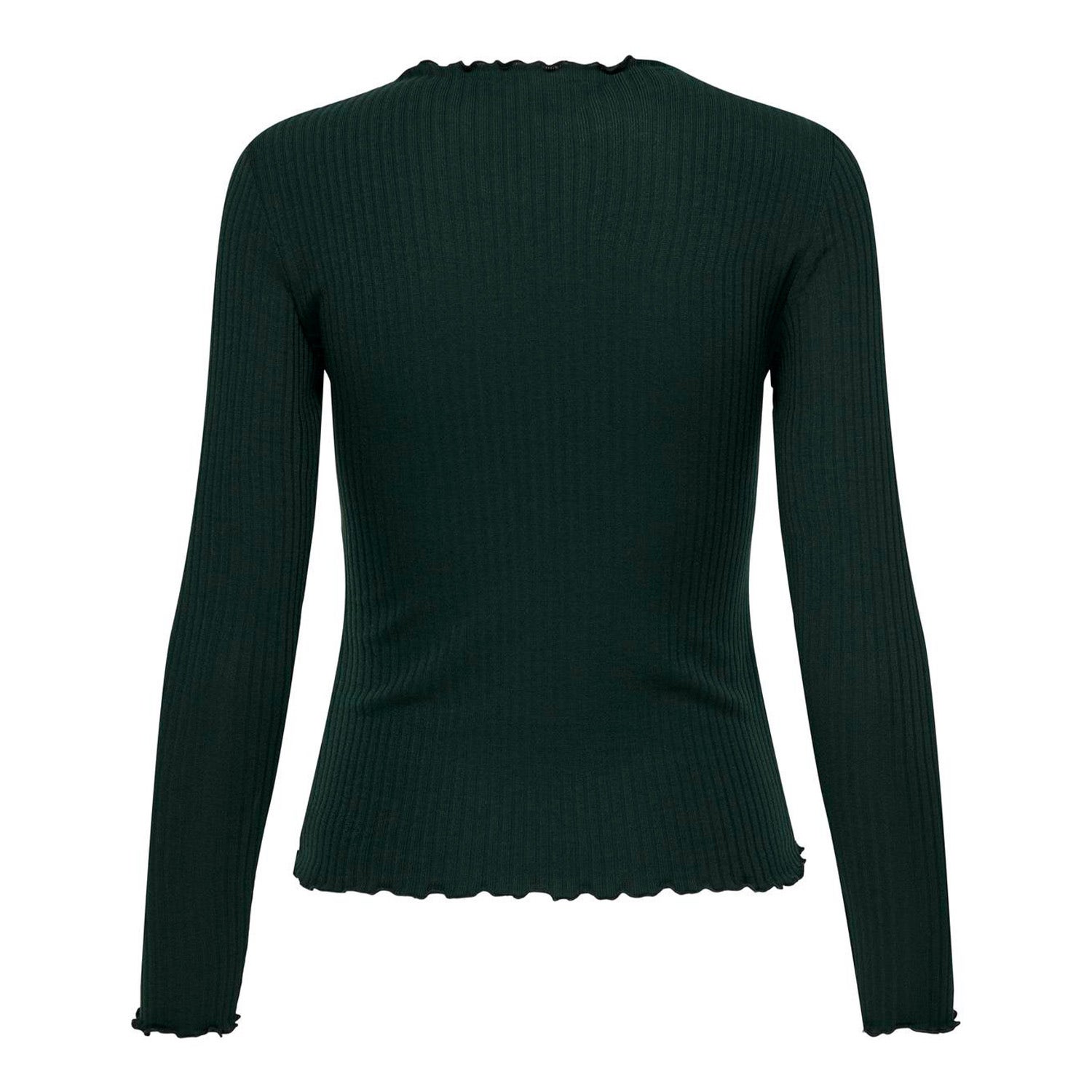 ONLY  Emma Long Sleeve High Neck