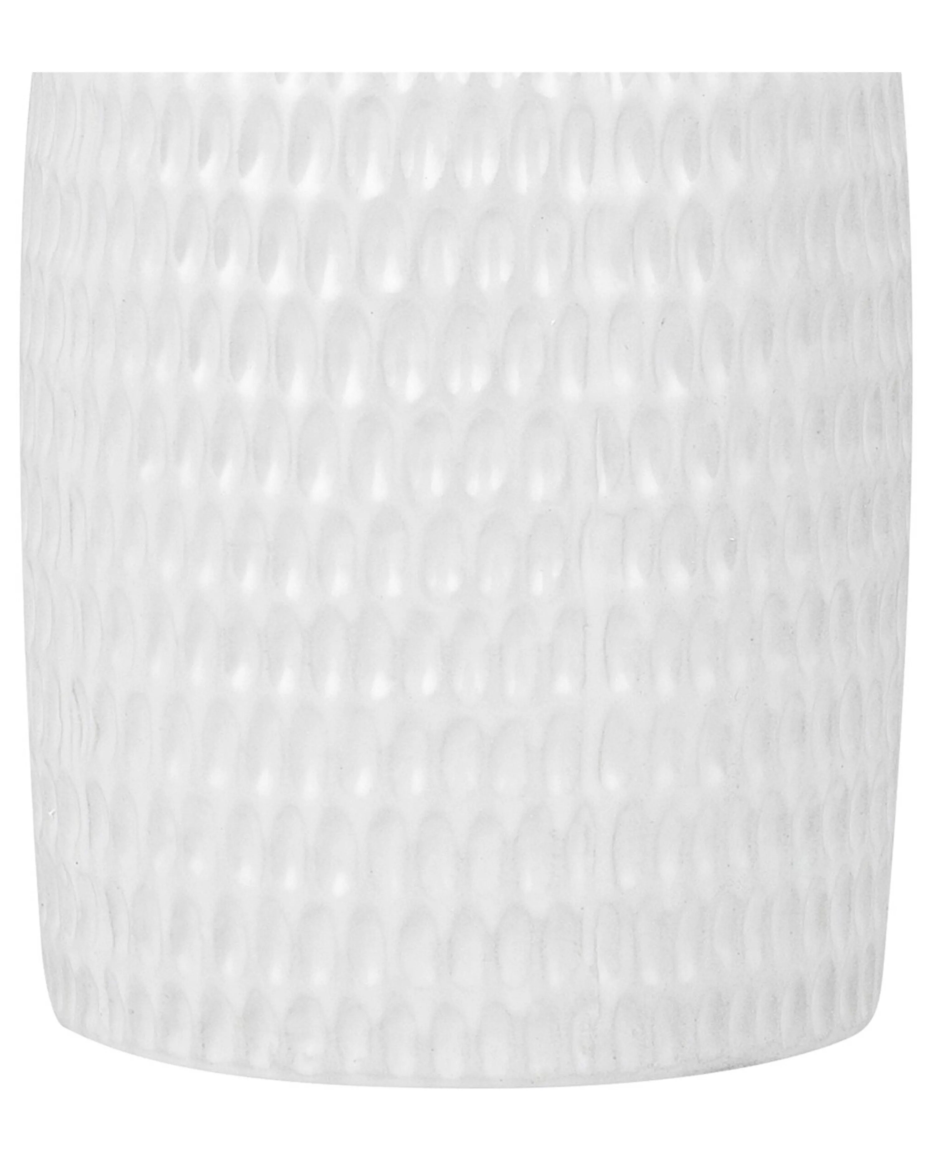 Decoratieve vaas LINZI Steengoed 25 cm Wit