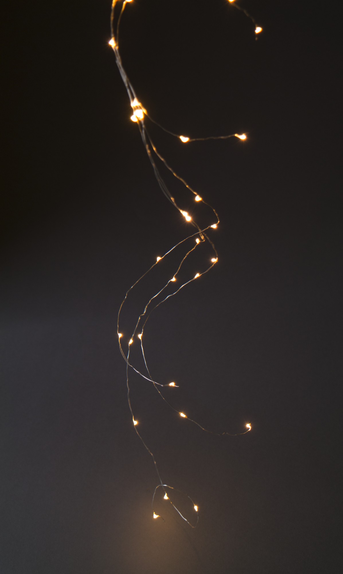 Lichtertraube 'Bertogne', 50 LED, 5 Strippen, 110 cm von fischer's lagerhaus