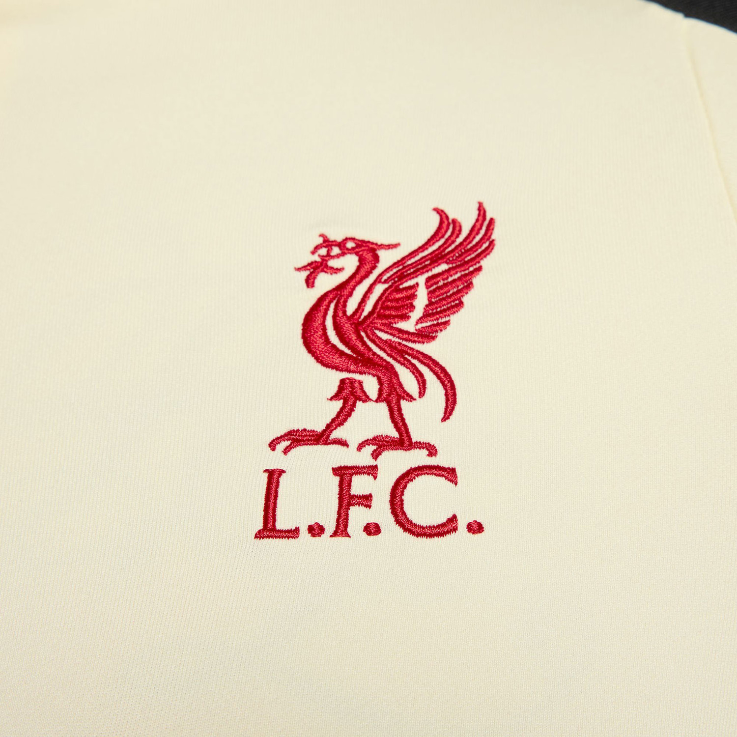Nike Liverpool Strike Drill Top 2024/2025