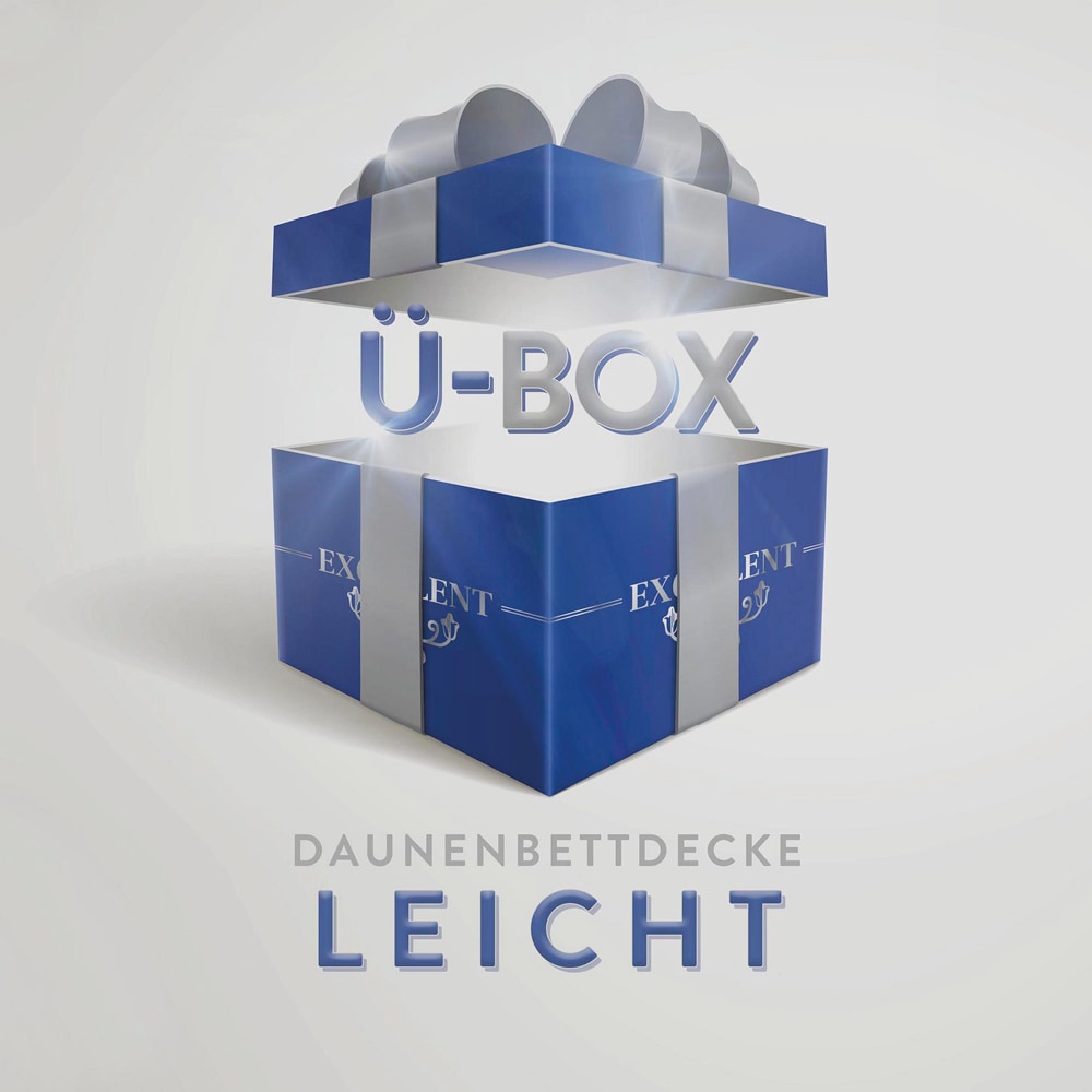 Excellent Daunenbettdecke »Überraschungsbox« leicht Füllung 90Daunen10Federn Bezug Baumwolle 1 Stk. tlg. absoluter Sonderpreis, wegen Lagerräumung, Solange der Vorrat reicht