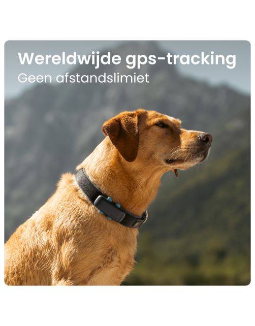 Tractive Gps Dog 4 Hondentracker En Activiteitenmonitor 17x71x28 mm - Hondenlocatievinder