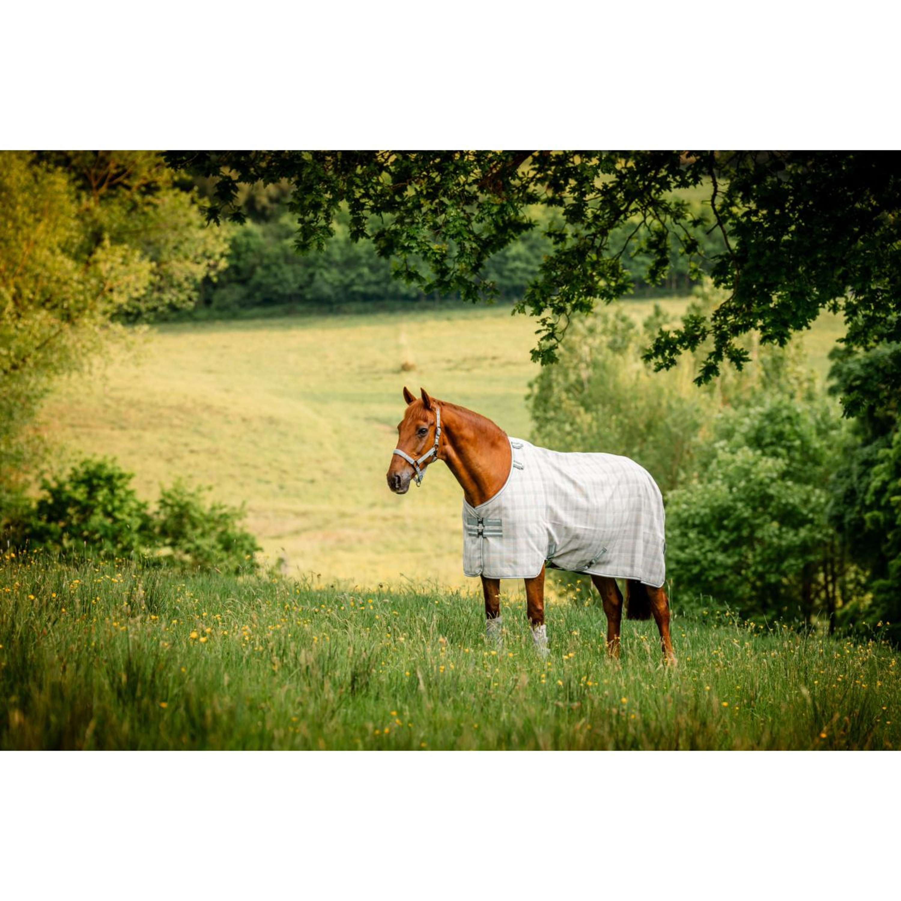 Horseware Vliegendeken Newmarket Witney Charcoal