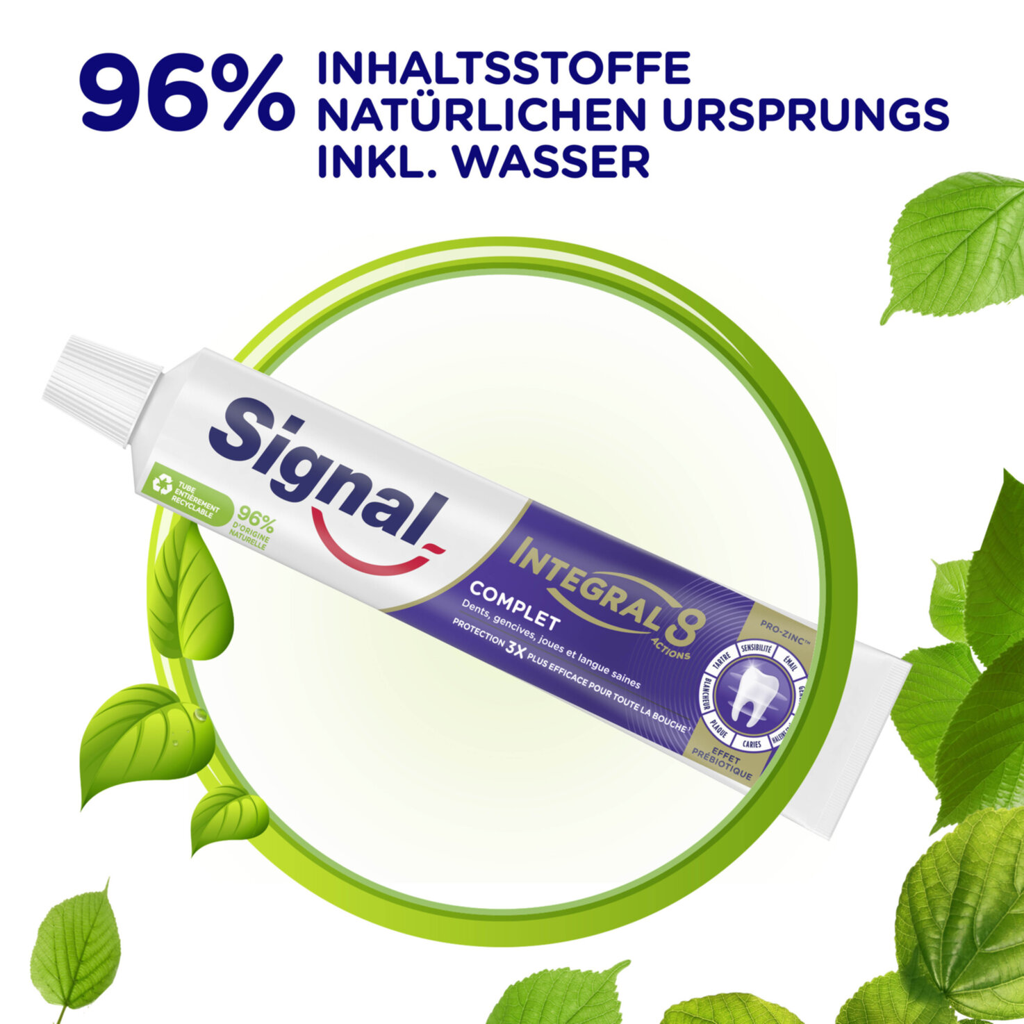 Signal Zahnpasta Integral 8 Complete